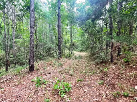 0000 John Chambers Rd, Roxie, MS 39661 photo 7