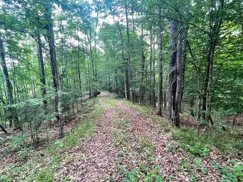 0000 John Chambers Rd, Roxie, MS 39661 photo 5