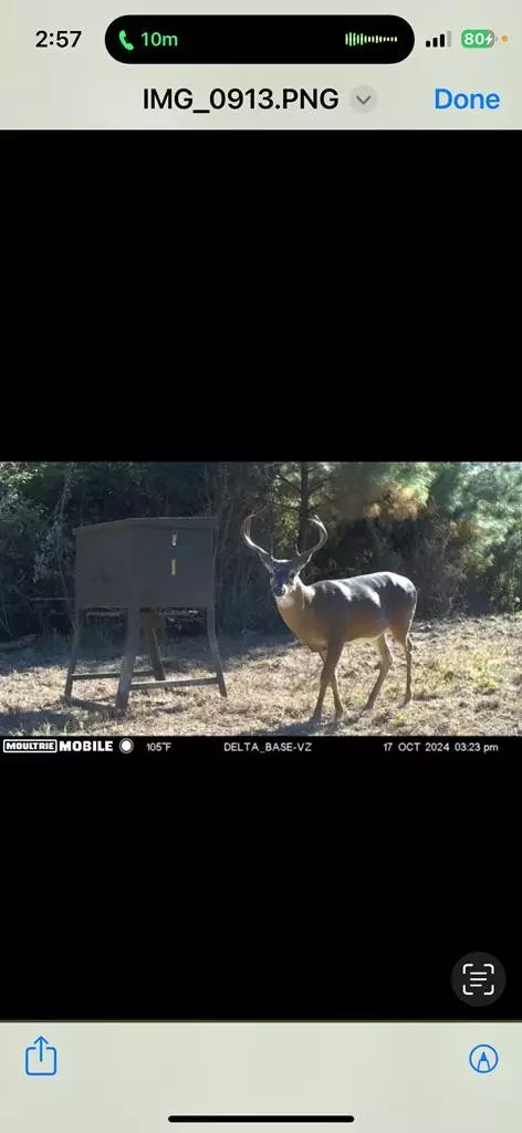 . Easley Road, Magnolia, MS 39652