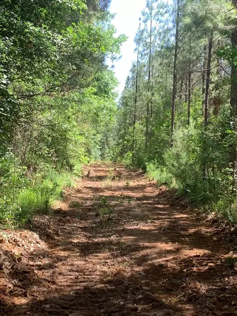 . Samuels Lane, Gloster, MS 39638 photo 7