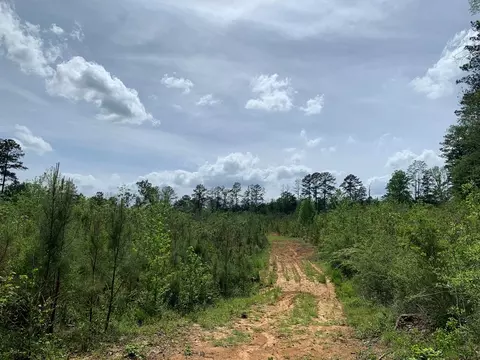 . Samuels Lane, Gloster, MS 39638 photo 8