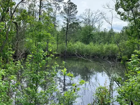 . Samuels Lane, Gloster, MS 39638 photo 4