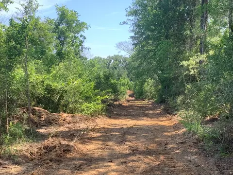 . Samuels Lane, Gloster, MS 39638 photo 9