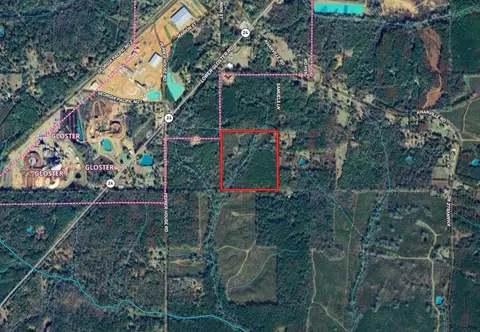 . Samuels Lane, Gloster, MS 39638 photo 6