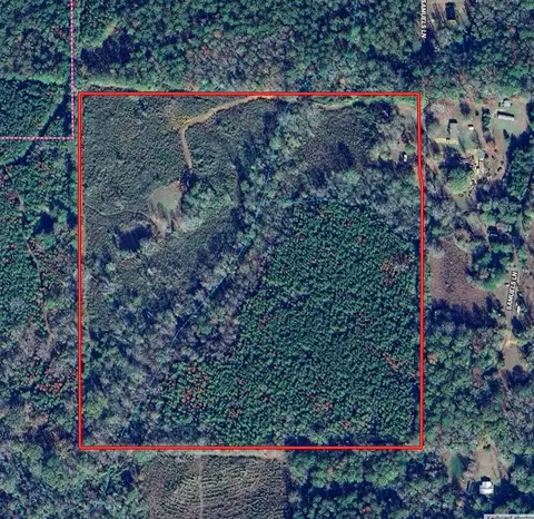 . Samuels Lane, Gloster, MS 39638 photo 3