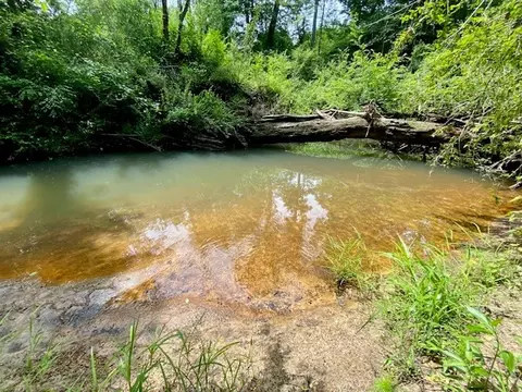 3024 Cole Thomas Rd, Mccomb, MS 39648 photo 62