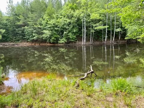 3024 Cole Thomas Rd, Mccomb, MS 39648 photo 51
