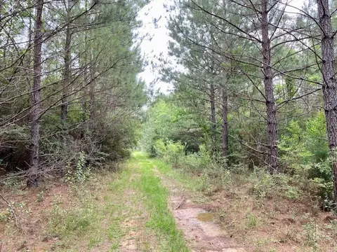 3024 Cole Thomas Rd, Mccomb, MS 39648 photo 36