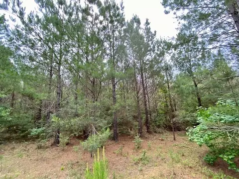 3024 Cole Thomas Rd, Mccomb, MS 39648 photo 37