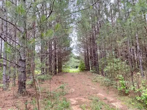 3024 Cole Thomas Rd, Mccomb, MS 39648 photo 33