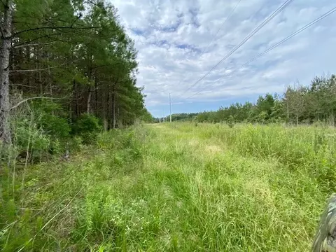 3024 Cole Thomas Rd, Mccomb, MS 39648 photo 47