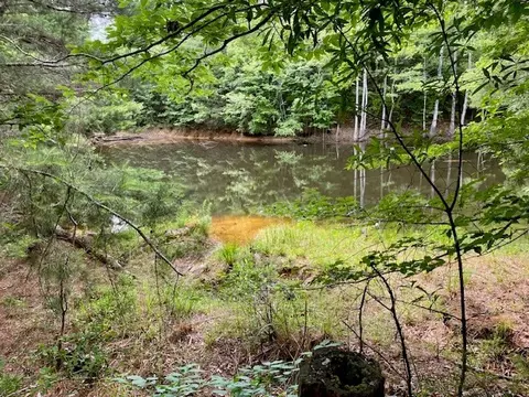 3024 Cole Thomas Rd, Mccomb, MS 39648 photo 52