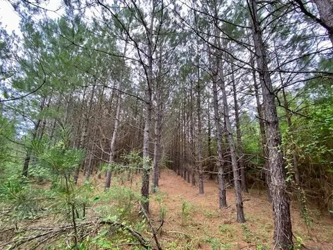 3024 Cole Thomas Rd, Mccomb, MS 39648 photo 34