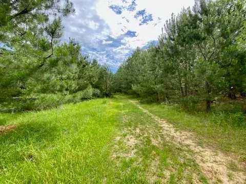 3024 Cole Thomas Rd, Mccomb, MS 39648 photo 39