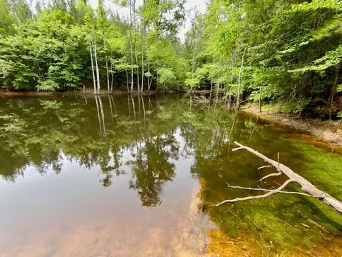 3024 Cole Thomas Rd, Mccomb, MS 39648 photo 49