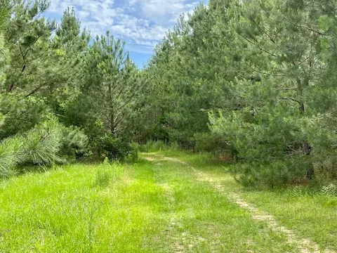 3024 Cole Thomas Rd, Mccomb, MS 39648 photo 38