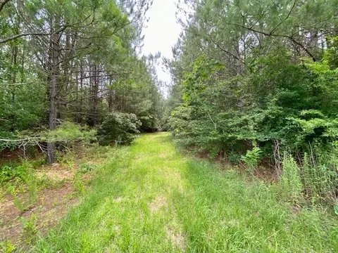 3024 Cole Thomas Rd, Mccomb, MS 39648 photo 54