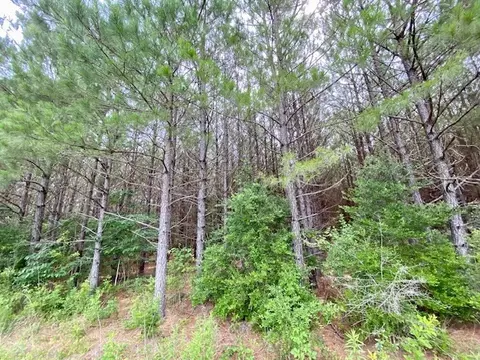 3024 Cole Thomas Rd, Mccomb, MS 39648 photo 40