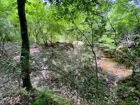 3024 Cole Thomas Rd, Mccomb, MS 39648 photo 67