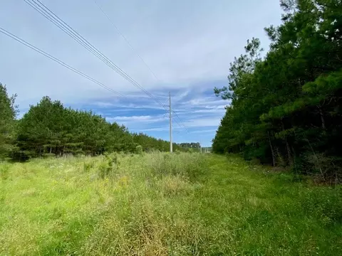 3024 Cole Thomas Rd, Mccomb, MS 39648 photo 41