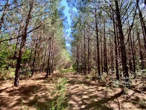 3024 Cole Thomas Rd, Mccomb, MS 39648 photo 72