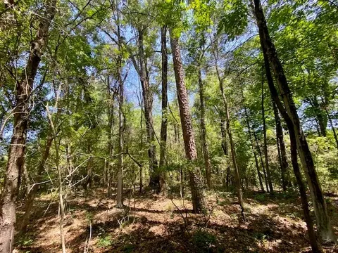 3024 Cole Thomas Rd, Mccomb, MS 39648 photo 70