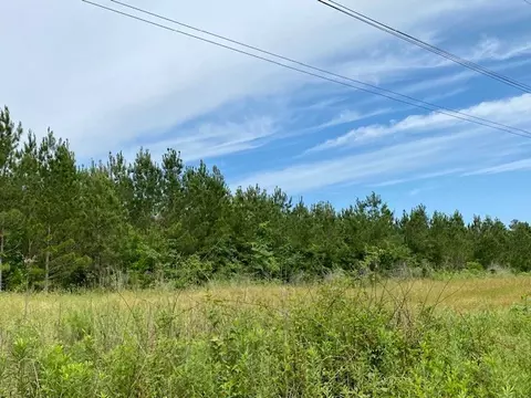 3024 Cole Thomas Rd, Mccomb, MS 39648 photo 53