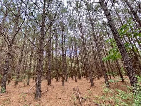 3024 Cole Thomas Rd, Mccomb, MS 39648 photo 48