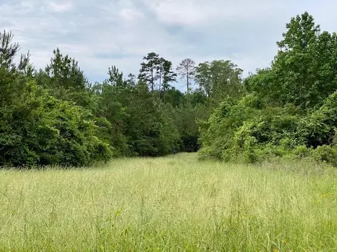 3024 Cole Thomas Rd, Mccomb, MS 39648 photo 43