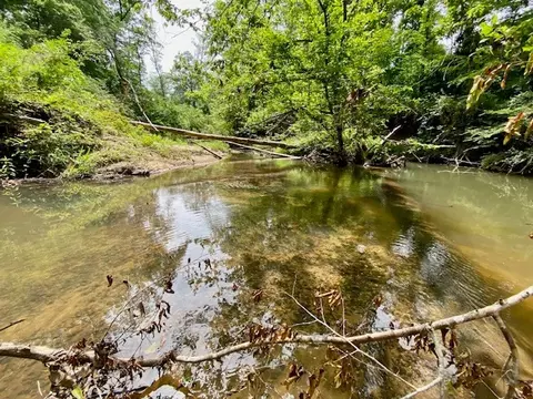 3024 Cole Thomas Rd, Mccomb, MS 39648 photo 64