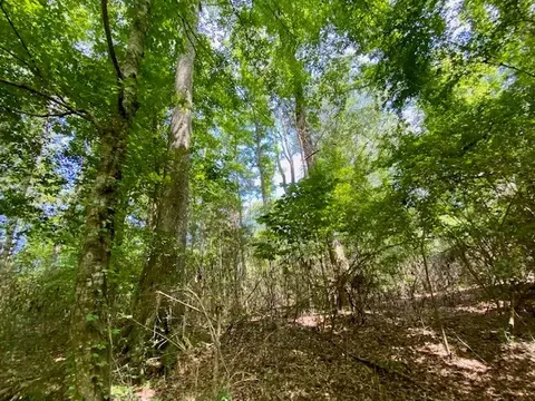 3024 Cole Thomas Rd, Mccomb, MS 39648 photo 55