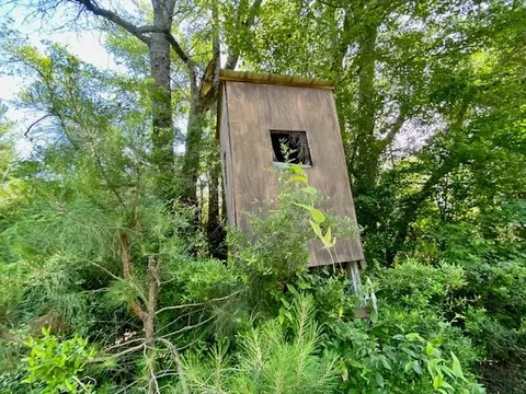 3024 Cole Thomas Rd, Mccomb, MS 39648 photo 71