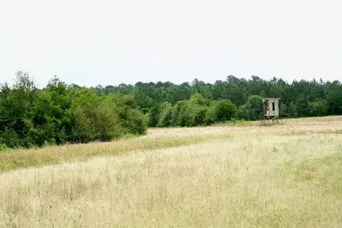 Nn Fortenberry Road, Tylertown, MS 39667