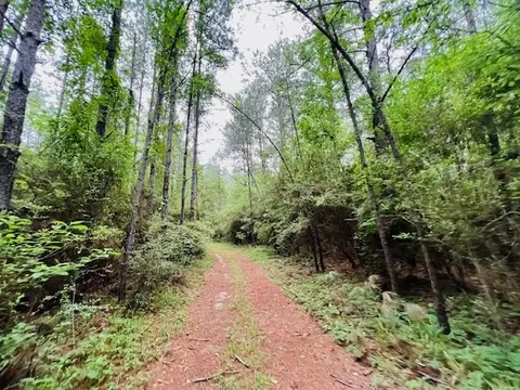 tbd Kirklin Rd, Tylertown, MS 39667 photo 9