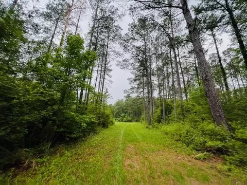 tbd Kirklin Rd, Tylertown, MS 39667 photo 6