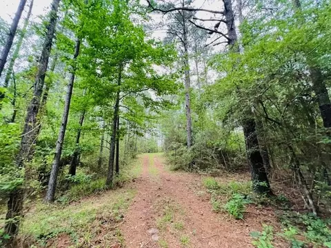 tbd Kirklin Rd, Tylertown, MS 39667 photo 10
