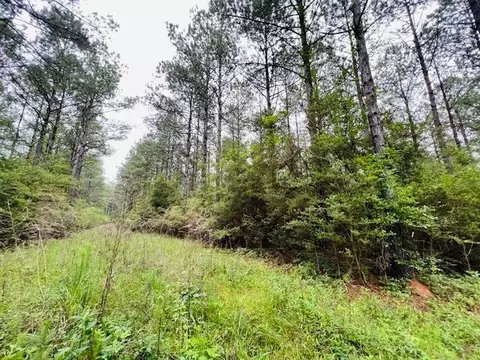tbd Kirklin Rd, Tylertown, MS 39667 photo 16