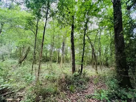 tbd Kirklin Rd, Tylertown, MS 39667 photo 13