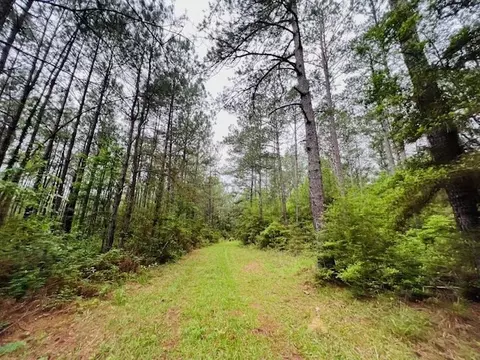 tbd Kirklin Rd, Tylertown, MS 39667 photo 3