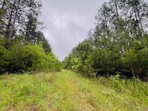 tbd Kirklin Rd, Tylertown, MS 39667 photo 14