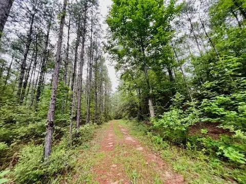 tbd Kirklin Rd, Tylertown, MS 39667 photo 8