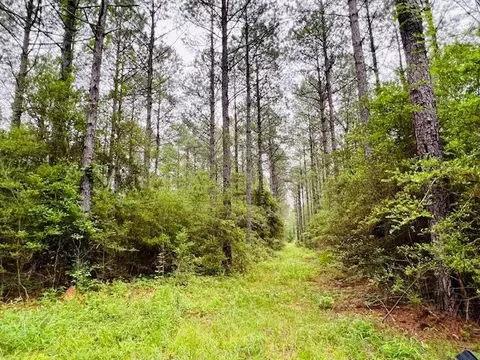 tbd Kirklin Rd, Tylertown, MS 39667 photo 17