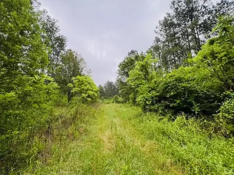 tbd Kirklin Rd, Tylertown, MS 39667 photo 15