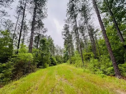 tbd Kirklin Rd, Tylertown, MS 39667 photo 12