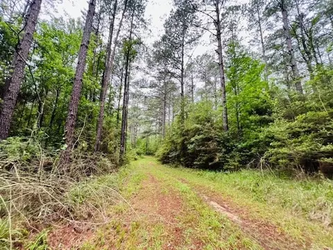 tbd Kirklin Rd, Tylertown, MS 39667 photo 4