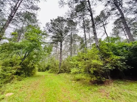 tbd Kirklin Rd, Tylertown, MS 39667 photo 5
