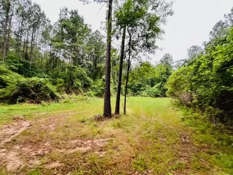 tbd Kirklin Rd, Tylertown, MS 39667 photo 11