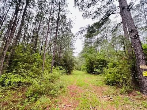 tbd Kirklin Rd, Tylertown, MS 39667