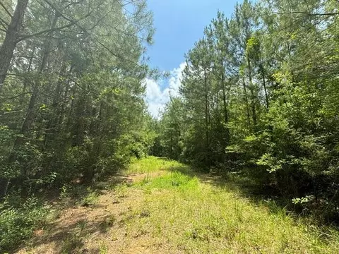 000 E Lewiston Rd, Kentwood, LA 70444