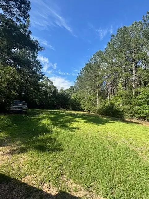 4065 Judge Rd, Gloster, MS 39638 photo 4